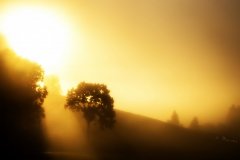 Sunraise