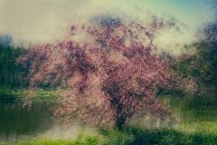 Outburst