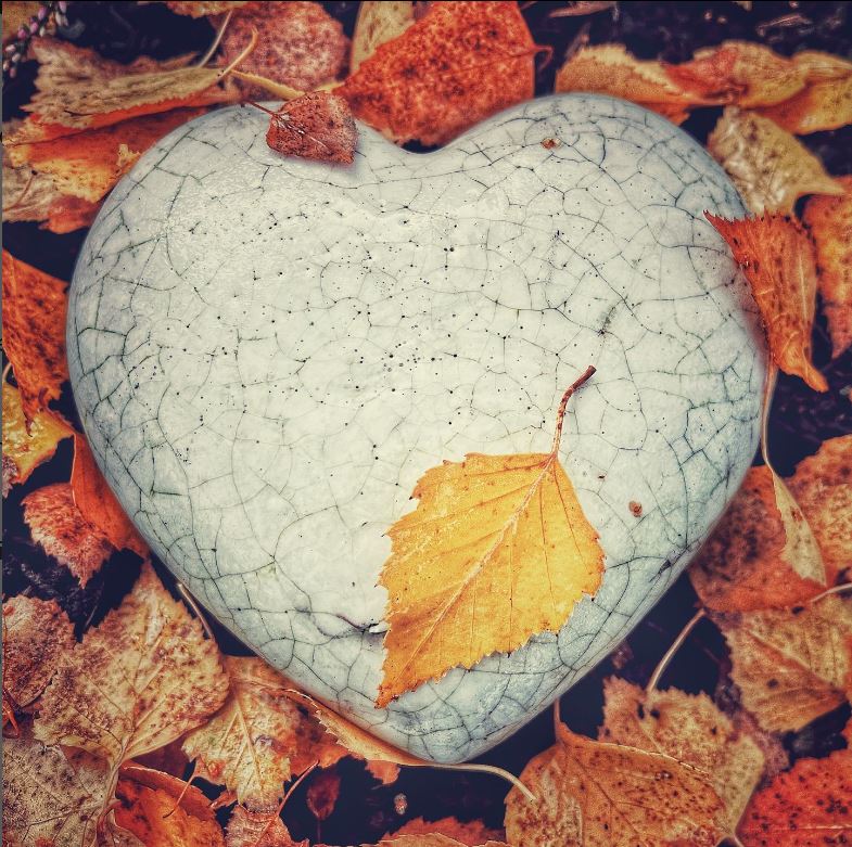 The leaf and the heart